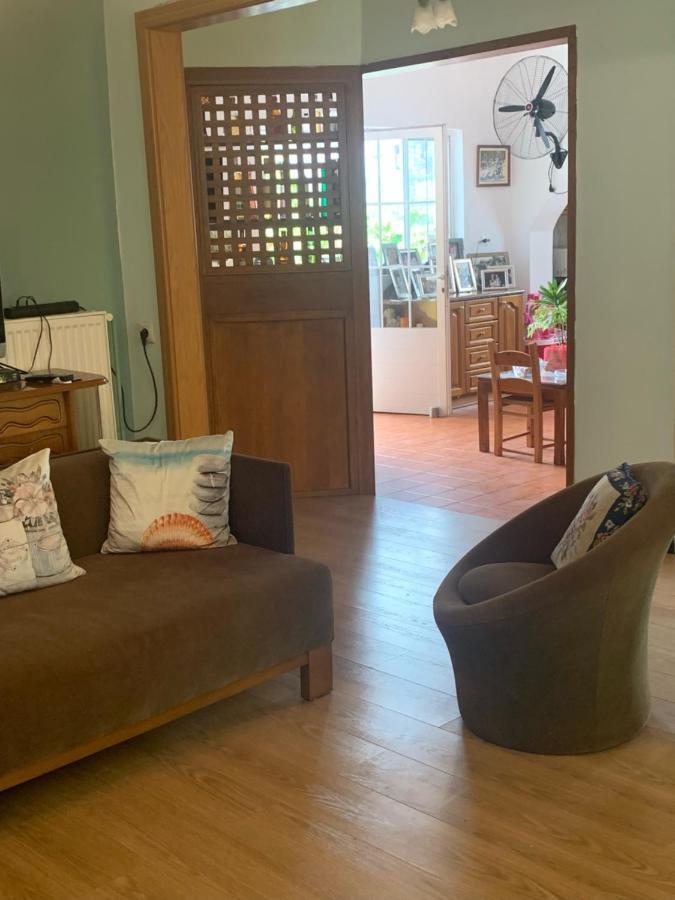 Irini House Villa Arméni Kültér fotó